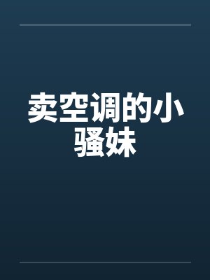 卖空调的小骚妹封面