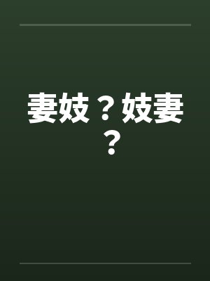 妻妓？妓妻？封面