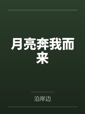 月亮奔我而来封面